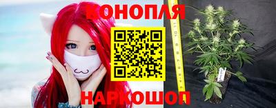 прущие грибы Белорецк