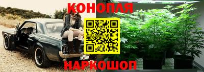 шишки Братск