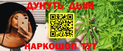 шишки Братск